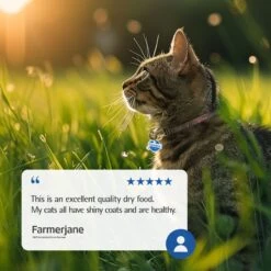 Farmina N&D Ancestral Grain Lamb & Blueberry Recipe Adult Cat Dry Food, 11-lb Bag -Farmina Pet Shop 207641 PT7. AC SS1800 V1678910066