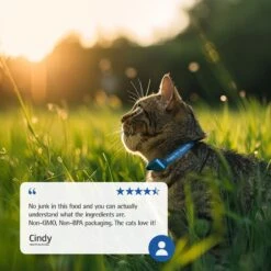 Farmina N&D Prime Chicken & Pomegranate Recipe Adult Cat Dry Food, 11-lb Bag -Farmina Pet Shop 207645 PT7. AC SS1800 V1678910009