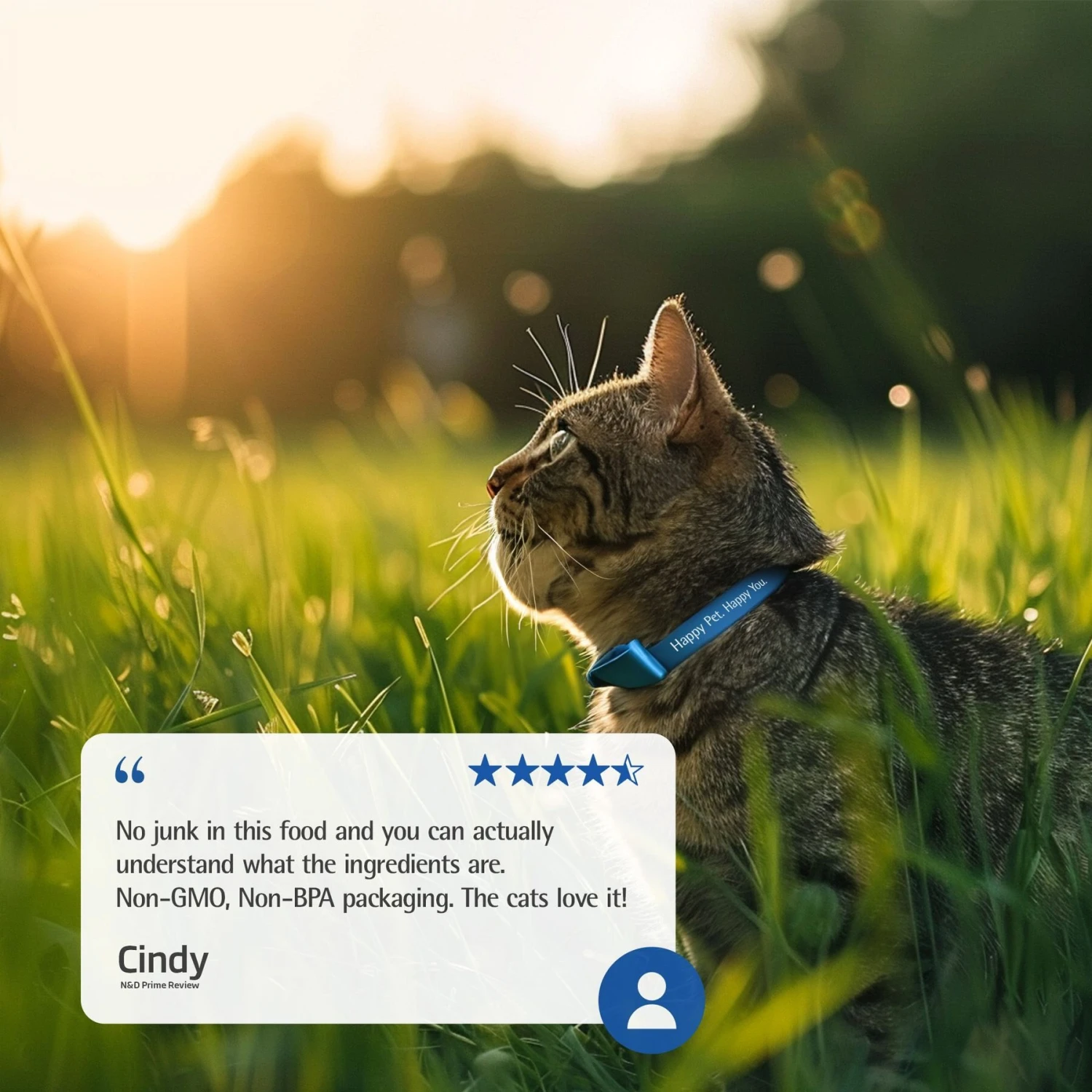 Farmina N&D Prime Lamb & Blueberry Recipe Adult Cat Dry Food 7 Farmina N&D Prime Lamb & Blueberry Recipe Adult Cat Dry Food - Image 7