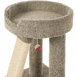 Frisco 24-in Real Carpet Cat Scratching Perch With Toy -Farmina Pet Shop 208960 PT3. AC SS1800 V1589221651