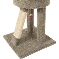 Frisco 24-in Real Carpet Cat Scratching Perch With Toy -Farmina Pet Shop 208960 PT4. AC SS1800 V1589221657