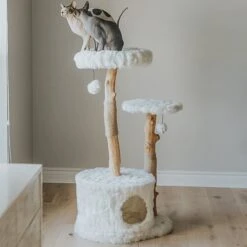Mau Lifestyle Alba 43-in Modern Wooden Cat Tree & Condo