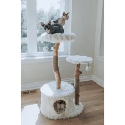 Mau Lifestyle Alba 43-in Modern Wooden Cat Tree & Condo -Farmina Pet Shop 211717 PT5. AC SS1800 V1632954718