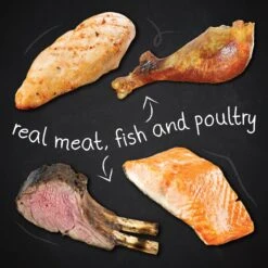 Hound & Gatos Grain-Free Cage Free Turkey Recipe Dry Cat Food -Farmina Pet Shop 217774 PT3. AC SS1800 V1588770406