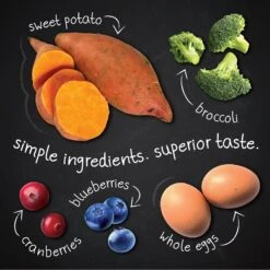 Hound & Gatos Grain-Free Cage Free Turkey Recipe Dry Cat Food -Farmina Pet Shop 217774 PT4. AC SS1800 V1588770410