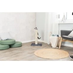 TRIXIE Parla 24.4-in Fleece Cat Scratching Post -Farmina Pet Shop 221624 PT2. AC SS1800 V1686332019