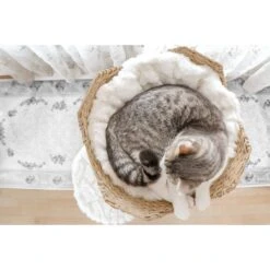 Mau Lifestyle Uni 41-in Faux Fur Basket Bed Cat Tree -Farmina Pet Shop 235558 PT7. AC SS1800 V1632781669