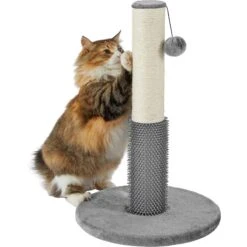 Frisco 21-in Sisal Cat Scratching Post With Toy & Groomer 8 Frisco 21-in Sisal Cat Scratching Post With Toy & Groomer -Farmina Pet Shop 236533 PT2. AC SS1800 V1615987395