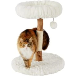 Frisco Natural Wood Modern Cat Tree With Toy, Ivory, Small -Farmina Pet Shop 236559 PT2. AC SS1800 V1615987338