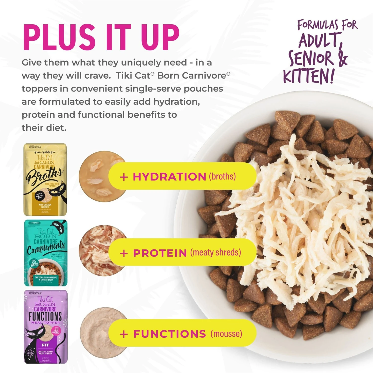 Tiki Cat Born Carnivore Chicken & Egg Grain-Free Dry Cat Food 8 Tiki Cat Born Carnivore Chicken & Egg Grain-Free Dry Cat Food - Image 8
