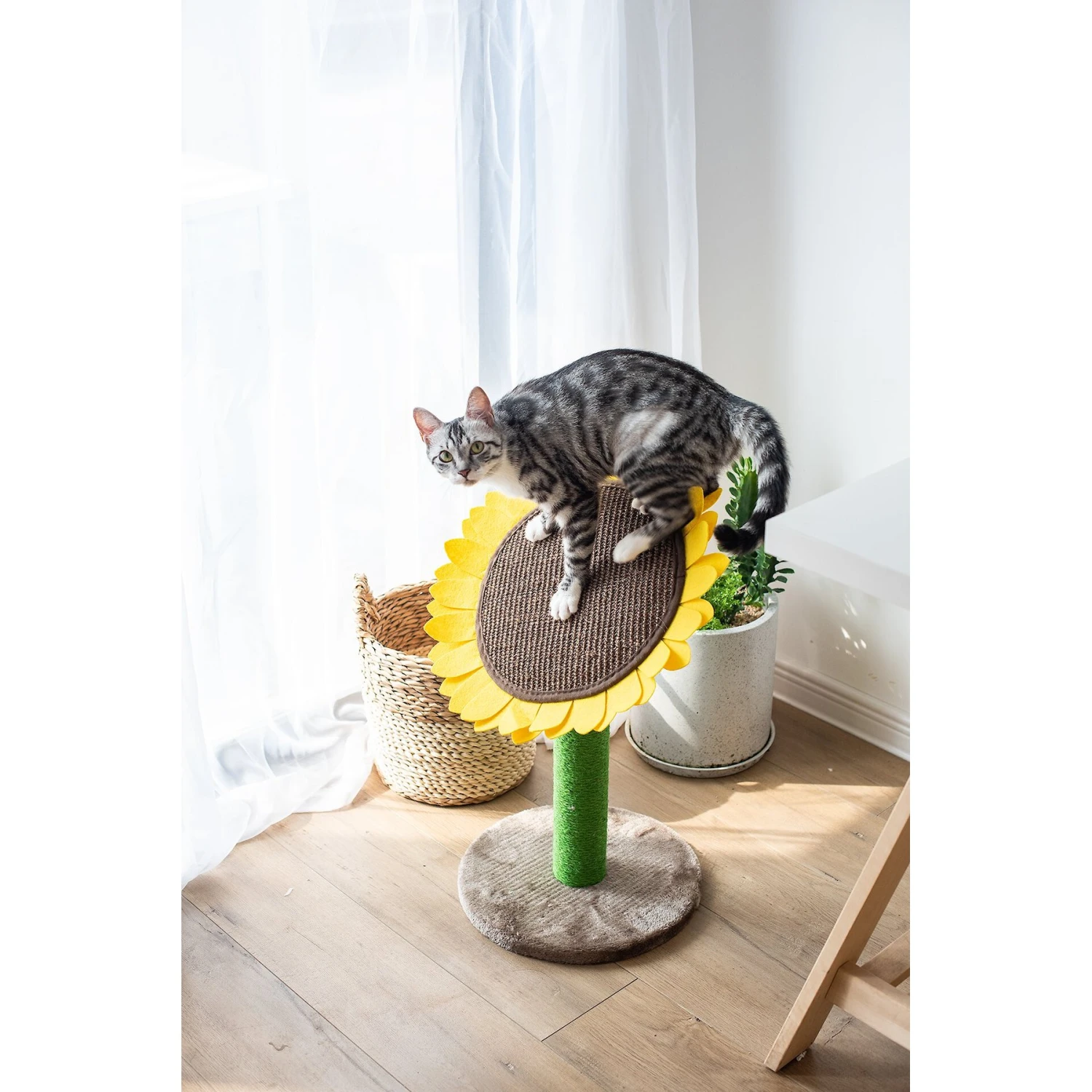 Catry Sunflower 23.2-in Sisal Cat Scratching Post With Toy 1 Catry Sunflower 23.2-in Sisal Cat Scratching Post With Toy