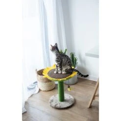 Catry Sunflower 23.2-in Sisal Cat Scratching Post With Toy 13 Catry Sunflower 23.2-in Sisal Cat Scratching Post With Toy -Farmina Pet Shop 244332 PT4. AC SS1800 V1595018510