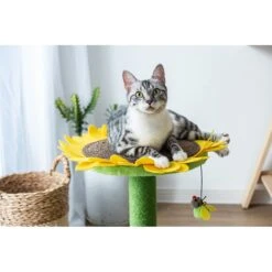 Catry Sunflower 23.2-in Sisal Cat Scratching Post With Toy 14 Catry Sunflower 23.2-in Sisal Cat Scratching Post With Toy -Farmina Pet Shop 244332 PT5. AC SS1800 V1595019083