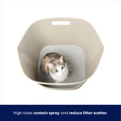 Frisco Leaf High-Sided Cat Litter Box, Large -Farmina Pet Shop 258782 PT2. AC SS1800 V1675279643