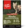 ORIJEN Tundra Grain-Free Dry Cat Food