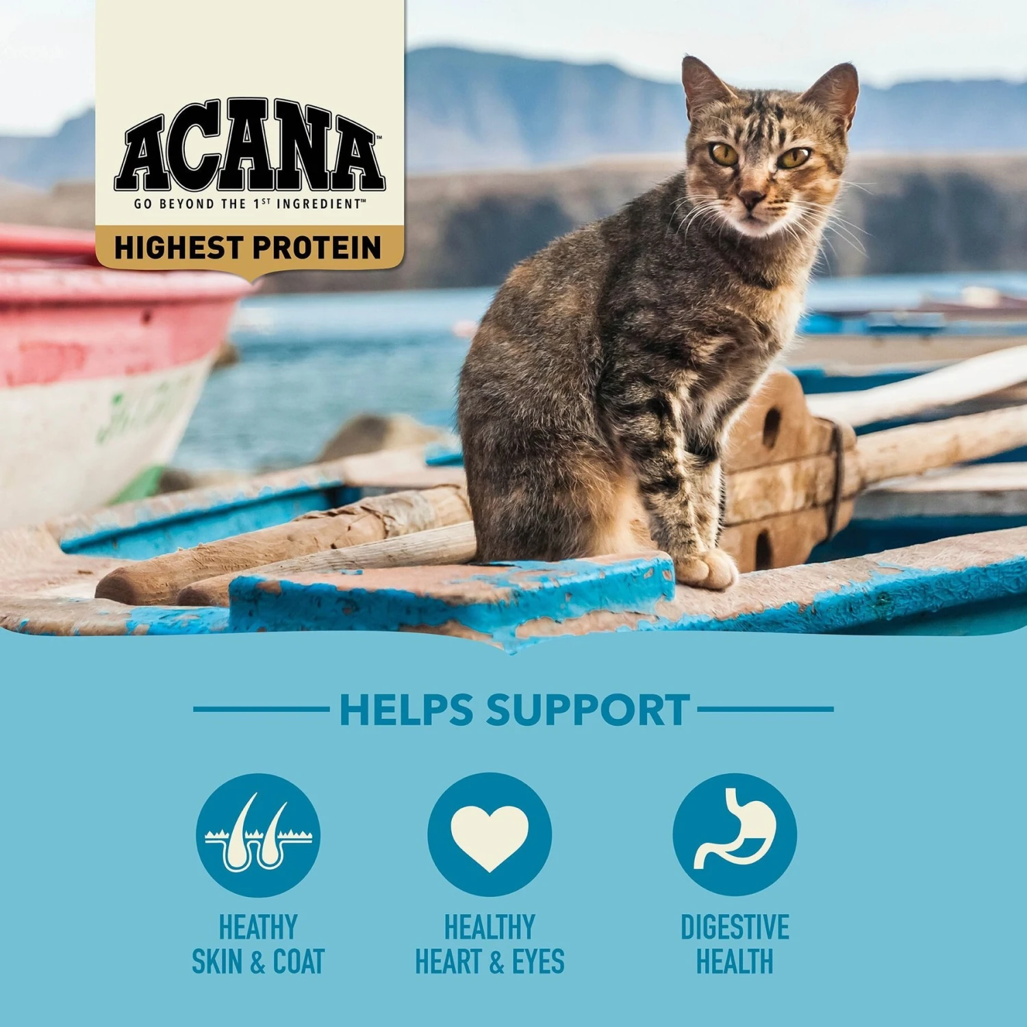 ACANA Wild Atlantic Grain-Free Dry Cat Food 5 ACANA Wild Atlantic Grain-Free Dry Cat Food - Image 5