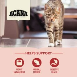 ACANA Indoor Entrée Adult Dry Cat Food 13 ACANA Indoor Entrée Adult Dry Cat Food -Farmina Pet Shop 259538 PT4. AC SS1800 V1690999828