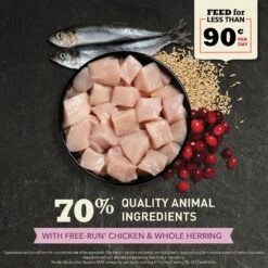 ACANA First Feast High-Protein Kitten Dry Cat Food, 4-lb Bag -Farmina Pet Shop 259568 PT3. AC SS1800 V1690996623