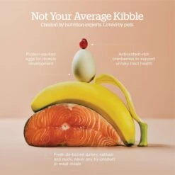 Now Fresh Grain-Free Kitten Formula Dry Cat Food 12 Now Fresh Grain-Free Kitten Formula Dry Cat Food -Farmina Pet Shop 261233 PT3. AC SS1800 V1637793433