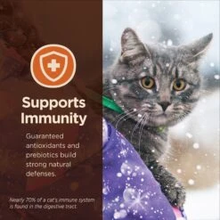 Wellness CORE Digestive Health Wholesome Grains Chicken & Rice Recipe Dry Cat Food 14 Wellness CORE Digestive Health Wholesome Grains Chicken & Rice Recipe Dry Cat Food -Farmina Pet Shop 264891 PT5. AC SS1800 V1608688958