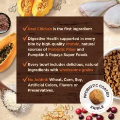 Wellness CORE Digestive Health Wholesome Grains Chicken & Rice Recipe Dry Cat Food 15 Wellness CORE Digestive Health Wholesome Grains Chicken & Rice Recipe Dry Cat Food -Farmina Pet Shop 264891 PT6. AC SS1800 V1608682945