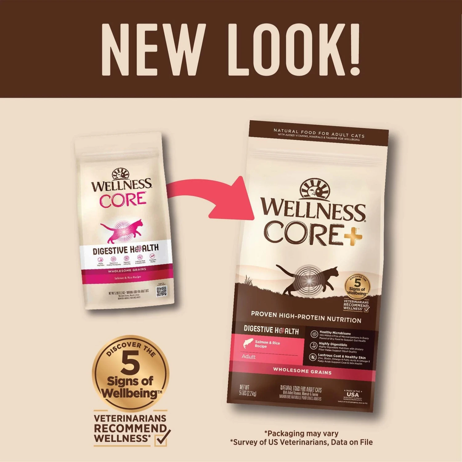 Wellness CORE Digestive Health Wholesome Grains Salmon & Rice Recipe Dry Cat Food 2 Wellness CORE Digestive Health Wholesome Grains Salmon & Rice Recipe Dry Cat Food - Image 2
