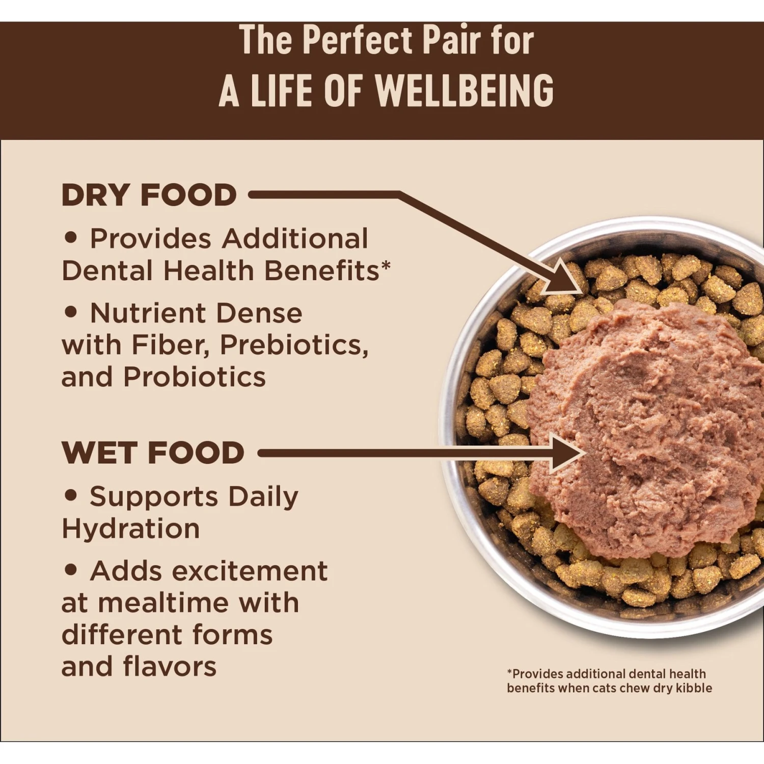 Wellness CORE Digestive Health Wholesome Grains Salmon & Rice Recipe Dry Cat Food 3 Wellness CORE Digestive Health Wholesome Grains Salmon & Rice Recipe Dry Cat Food - Image 3