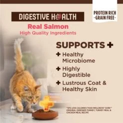 Wellness CORE Digestive Health Wholesome Grains Salmon & Rice Recipe Dry Cat Food 12 Wellness CORE Digestive Health Wholesome Grains Salmon & Rice Recipe Dry Cat Food -Farmina Pet Shop 264893 PT3. AC SS1800 V1608690466