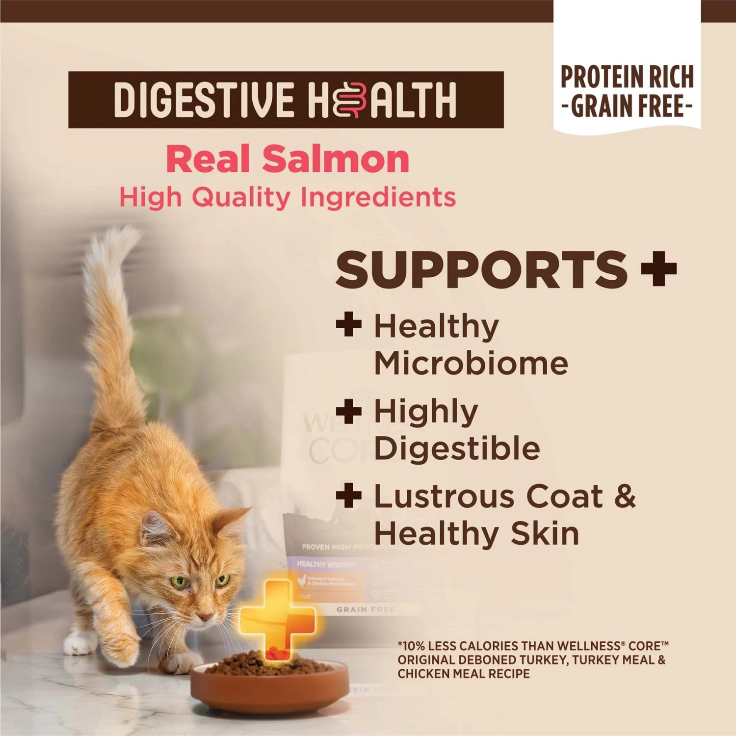 Wellness CORE Digestive Health Wholesome Grains Salmon & Rice Recipe Dry Cat Food 4 Wellness CORE Digestive Health Wholesome Grains Salmon & Rice Recipe Dry Cat Food - Image 4