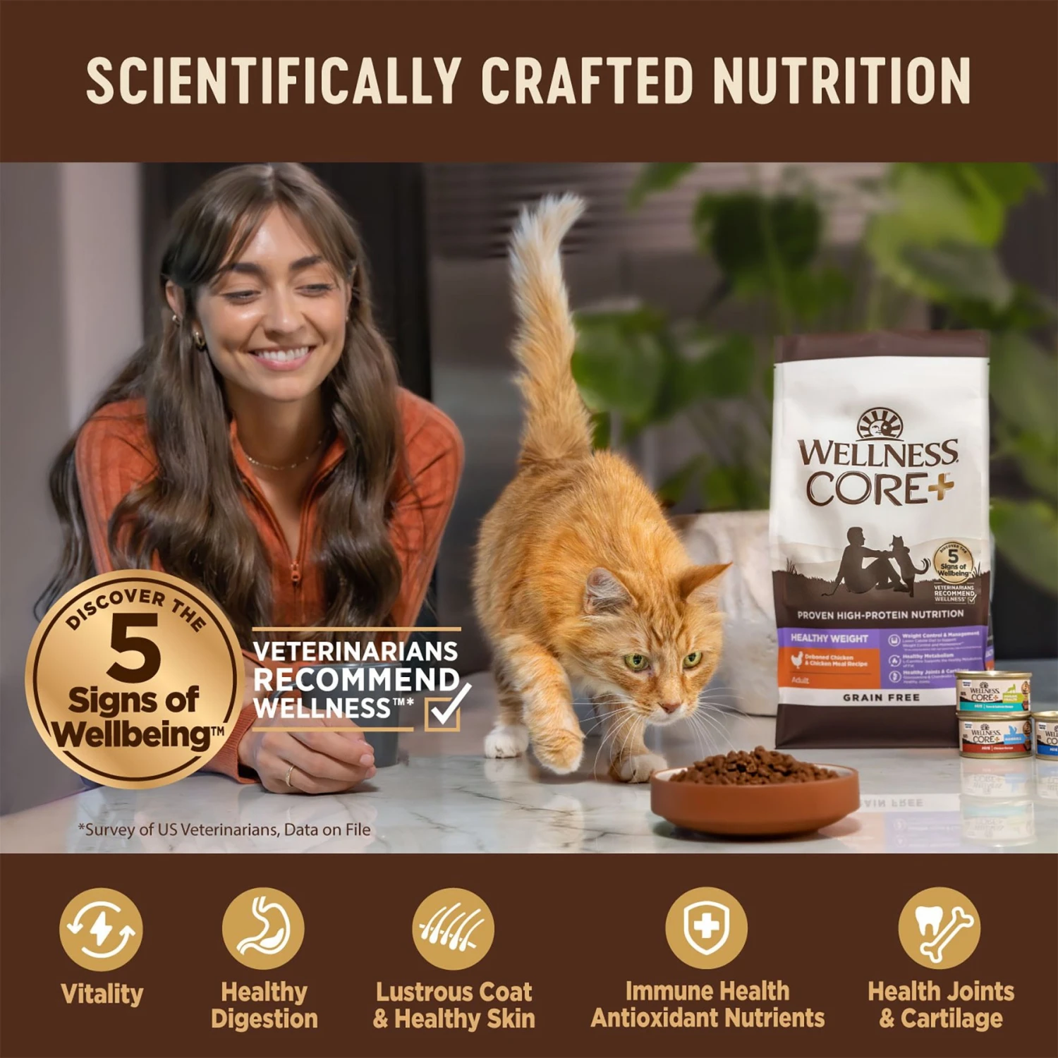 Wellness CORE Digestive Health Wholesome Grains Salmon & Rice Recipe Dry Cat Food 5 Wellness CORE Digestive Health Wholesome Grains Salmon & Rice Recipe Dry Cat Food - Image 5
