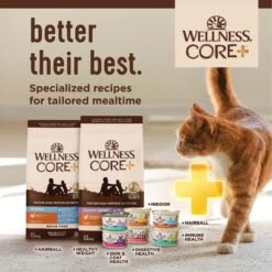 Wellness CORE Digestive Health Wholesome Grains Salmon & Rice Recipe Dry Cat Food 15 Wellness CORE Digestive Health Wholesome Grains Salmon & Rice Recipe Dry Cat Food -Farmina Pet Shop 264893 PT6. AC SS1800 V1608676655