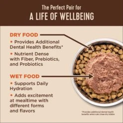 Wellness CORE Digestive Health Turkey Pate Recipe Grain-Free Wet Cat Food, 3-oz, Case Of 12 -Farmina Pet Shop 264898 PT2. AC SS1800 V1608692565