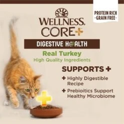 Wellness CORE Digestive Health Turkey Pate Recipe Grain-Free Wet Cat Food, 3-oz, Case Of 12 -Farmina Pet Shop 264898 PT3. AC SS1800 V1608688645