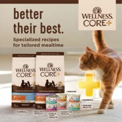 Wellness CORE Digestive Health Turkey Pate Recipe Grain-Free Wet Cat Food, 3-oz, Case Of 12 -Farmina Pet Shop 264898 PT7. AC SS1800 V1640205999
