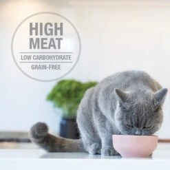 Feline Natural Hoki & Beef Feast Grain-Free Wet Cat Food, 3-oz Pouch, Case Of 12 -Farmina Pet Shop 277490 PT3. AC SS1800 V1628703673