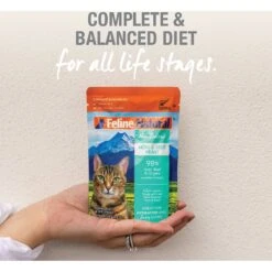 Feline Natural Hoki & Beef Feast Grain-Free Wet Cat Food, 3-oz Pouch, Case Of 12 -Farmina Pet Shop 277490 PT4. AC SS1800 V1628703987
