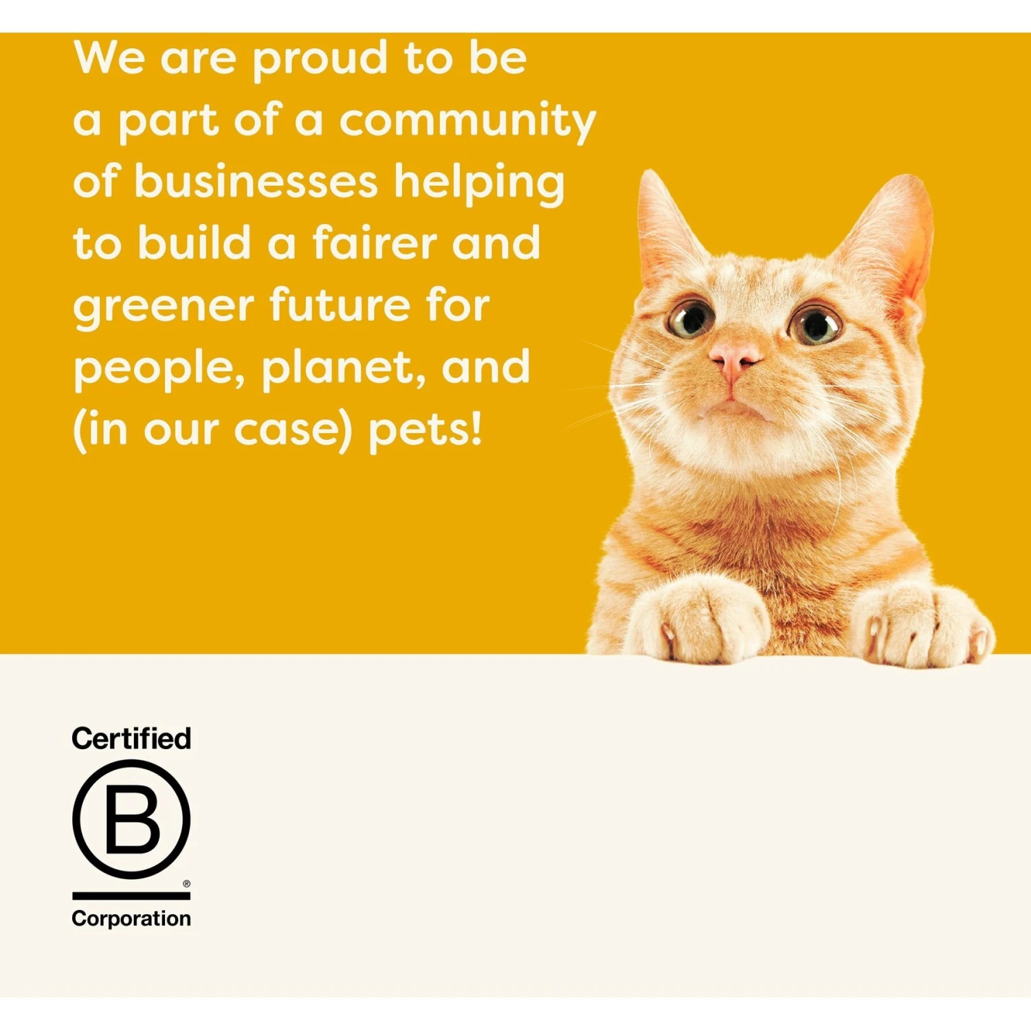 Applaws Adult Complete Chicken Recipe With Country Vegetables Grain-Free Dry Cat Food 7 Applaws Adult Complete Chicken Recipe With Country Vegetables Grain-Free Dry Cat Food - Image 7