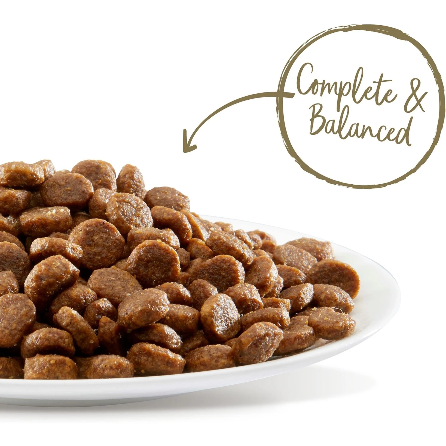 Applaws Adult Complete Whitefish Recipe With Country Vegetables Grain-Free Dry Cat Food 2 Applaws Adult Complete Whitefish Recipe With Country Vegetables Grain-Free Dry Cat Food - Image 2