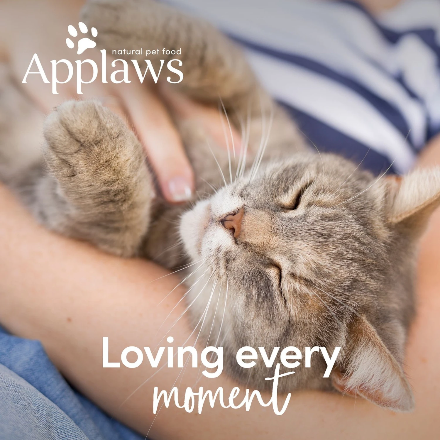 Applaws Adult Complete Whitefish Recipe With Country Vegetables Grain-Free Dry Cat Food 7 Applaws Adult Complete Whitefish Recipe With Country Vegetables Grain-Free Dry Cat Food - Image 7