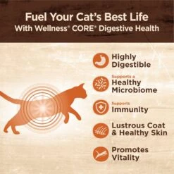 Wellness CORE Digestive Health Salmon Pate Recipe Grain-Free Wet Cat Food, 3-oz, Case Of 12 & Wellness CORE Digestive Health Wholesome Grains Salmon & Rice Recipe Dry Cat Food -Farmina Pet Shop 290196 PT4. AC SS1800 V1620090162