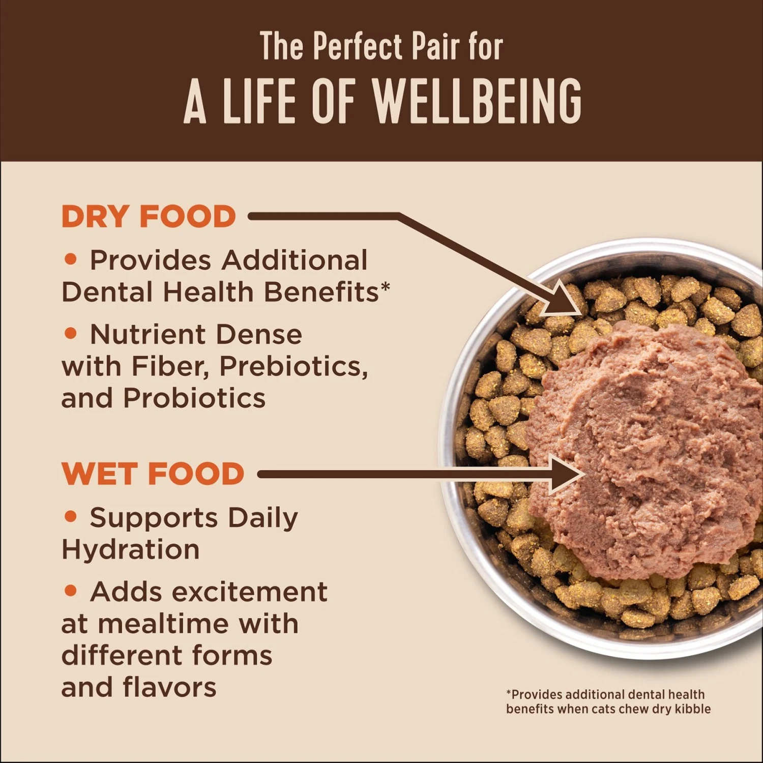 Wellness CORE Digestive Health Chicken Pate Recipe Grain-Free Wet Cat Food, 3-oz, Case Of 12 & Wellness CORE Digestive Health Wholesome Grains Chicken & Rice Recipe Dry Cat Food 4 Wellness CORE Digestive Health Chicken Pate Recipe Grain-Free Wet Cat Food, 3-oz, Case Of 12 & Wellness CORE Digestive Health Wholesome Grains Chicken & Rice Recipe Dry Cat Food - Image 4