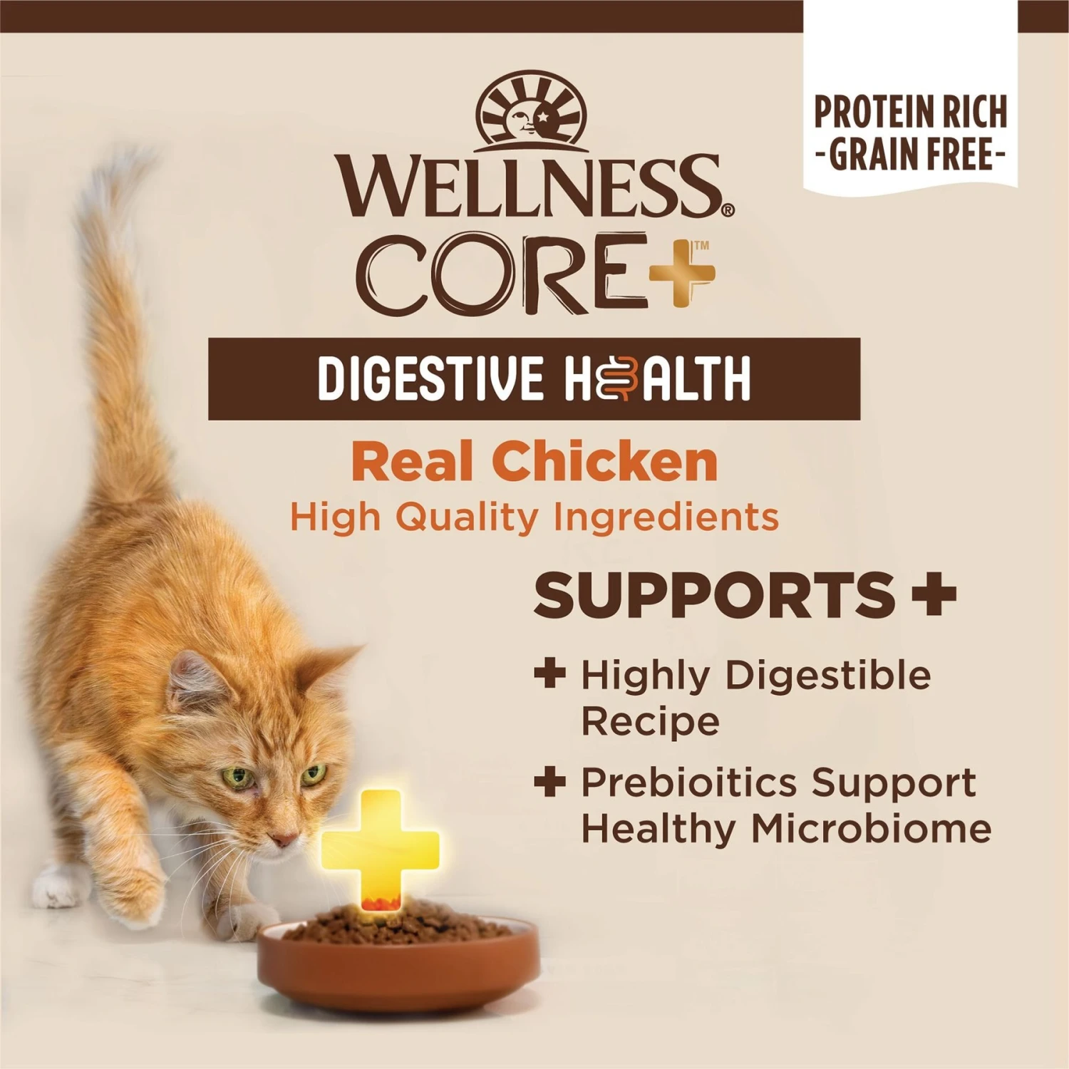 Wellness CORE Digestive Health Chicken Pate Recipe Grain-Free Wet Cat Food, 3-oz, Case Of 12 & Wellness CORE Digestive Health Wholesome Grains Chicken & Rice Recipe Dry Cat Food 5 Wellness CORE Digestive Health Chicken Pate Recipe Grain-Free Wet Cat Food, 3-oz, Case Of 12 & Wellness CORE Digestive Health Wholesome Grains Chicken & Rice Recipe Dry Cat Food - Image 5