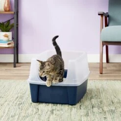 Frisco Plastic Litter Scooper With Caddy & IRIS USA Open Top Litter Box With Scatter Shield -Farmina Pet Shop 298166 PT6. AC SS1800 V1623202669