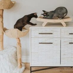 Mau Lifestyle Cardboard Cat Scratcher -Farmina Pet Shop 308909 PT3. AC SS1800 V1635198754