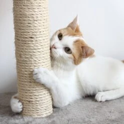 Pet Adobe 19.25-in Polyester Cat Scratching Post With Toys -Farmina Pet Shop 314975 PT4. AC SS1800 V1626390375