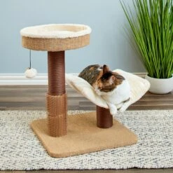 Two By Two The Yaupon 21.5-in Cat Tree & Lounger, Beige -Farmina Pet Shop 316950 PT3. AC SS1800 V1642649525