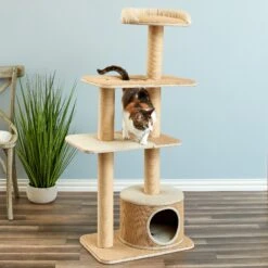 Two By Two The Cottonwood 51-in Cat Tree & Condo, Beige -Farmina Pet Shop 316954 PT4. AC SS1800 V1642644729
