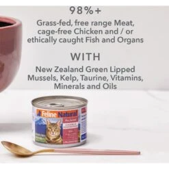 Feline Natural Lamb & King Salmon Feast Grain-Free Canned Cat Food -Farmina Pet Shop 363947 PT4. AC SS1800 V1643678827