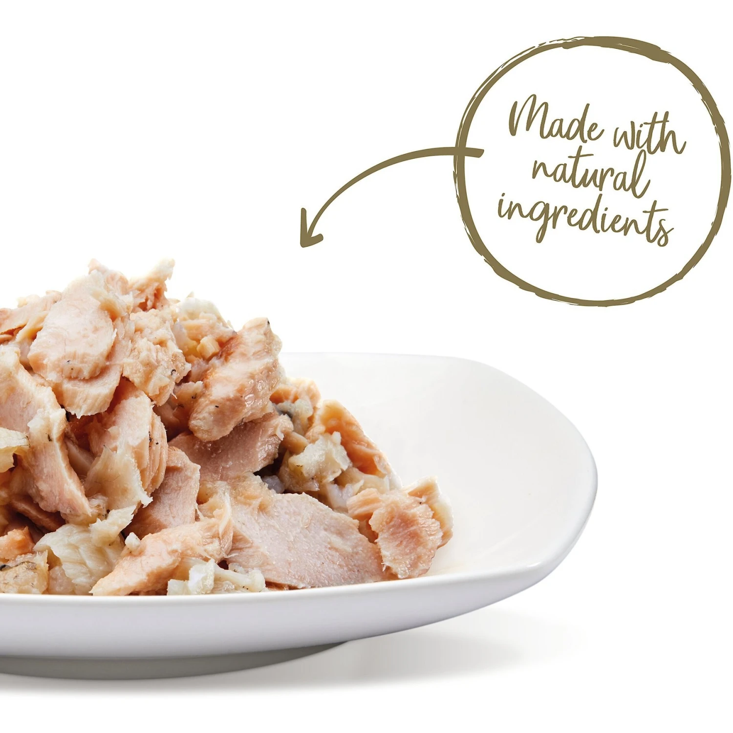 Applaws Grilled Tilapia Flakes With Sockeye Salmon In Gravy Wet Cat Food, 2.12-oz, Case Of 18 2 Applaws Grilled Tilapia Flakes With Sockeye Salmon In Gravy Wet Cat Food, 2.12-oz, Case Of 18 - Image 2