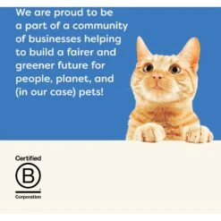 Applaws Tuna With Shrimp Bits In Broth Wet Cat Food, 2.47-oz, Case Of 12 13 Applaws Tuna With Shrimp Bits In Broth Wet Cat Food, 2.47-oz, Case Of 12 -Farmina Pet Shop 373491 PT6. AC SS1800 V1658516140